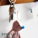파랑코 이미지