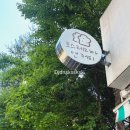 토스테리아 이미지