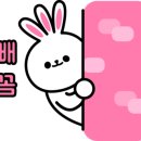 (주)구공스테이 이미지