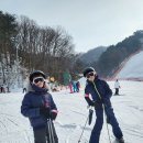 보드강습 비발디 파크에서 만난 스키의 즐거움, 제이스키 강습 후기
