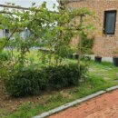 도이교차로 이미지