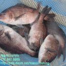 해솔바다낚시터 이미지