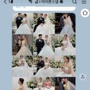 힌스냅