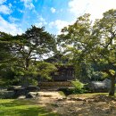 보길도 윤선도 원림 이미지