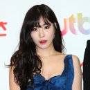 다즐링