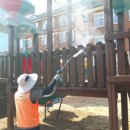 신녕초교병설유치원 이미지