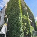 관악산 무장애숲길 | [파주] 헤이리마을과 무장애 노을숲길 산책 후기