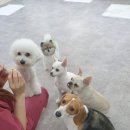 아토,사랑스러워 이미지