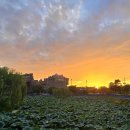 도도리저수지 이미지