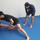 알파레슬링 이미지