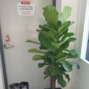 신당인덕1로-12 이미지