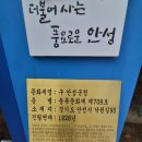 경인축산 | [경기도 근대문화유산 탐방·(14)] 성쇠의 복판 꿋꿋하게 자리 지킨 '구 안성군청'