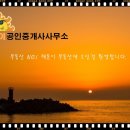 해돋이공인중개사사무소 네이버블로그