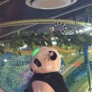 팡팡 | [안산/선부동] 안산 키즈카페, 정글팡팡 후기!