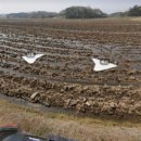 호태양광발전소 이미지