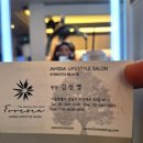 시니어아이행복돌봄 | 시니어발레아쥬 흰머리 40대 새치커버 뿌염 강남 미용실 잘하는 곳 추천 염색 후 한달 후기