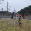 건이네 농장 이미지