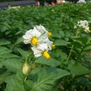 지양농장 이미지