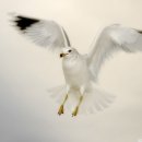 바람결 작은집 이미지