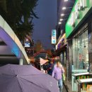 순희네꼬마김밥 2호점 네이버블로그