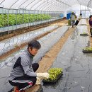 재준농장 이미지