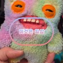 한경숙 | 사진첩 정리용 일상 포스팅 25년 연말부터 26년 새해까지