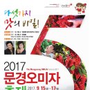문경오미자