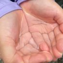 원동포시즌 이미지