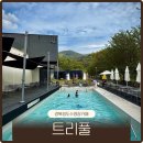 그늘막80 | 대구 근교 청도 수영장카페 트리풀 주말 미온수 풀장 아이와 물놀이 솔직후기