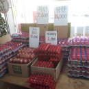 청솔청과 이미지