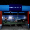 수비초등학교 | 낙동정맥 제5구간 깃재에서 덕재까지 산행 후기