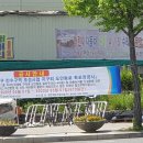 도안동로 이미지