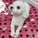 천안천공원1길