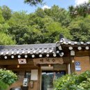 머무름 펫 이미지