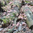 은행약수터 이미지