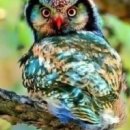 물처럼 바람처럼 이미지