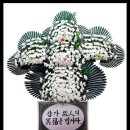 송채수 이미지
