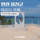 메르테크 | 인천 선재도 카페 바다를 품은 카페메르디 애견동반