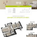 보림초 이미지