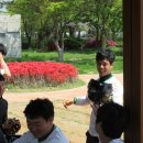 대일통닭 이미지