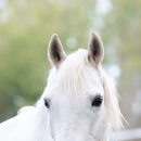 한국폴리텍 VI 대학 대구캠퍼스 이미지