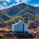 호텔비바체 이미지
