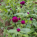 석적읍보건지소 이미지