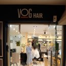 보그 메디 이미지