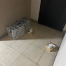 부산 본식 dvd 영상 코지필름 완성본 패키지 수령 후기