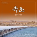 영랑호수윗길 이미지