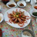 호또모또