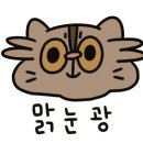 류카츠 이미지