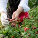 액티브경희태권도장 이미지