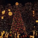 조성식당 이미지